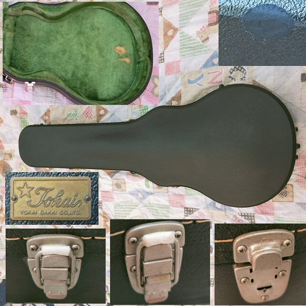 超希少！トーカイ 【 Reborn OLD 】 / Tokai 1980年 Reborn OLD LS-50