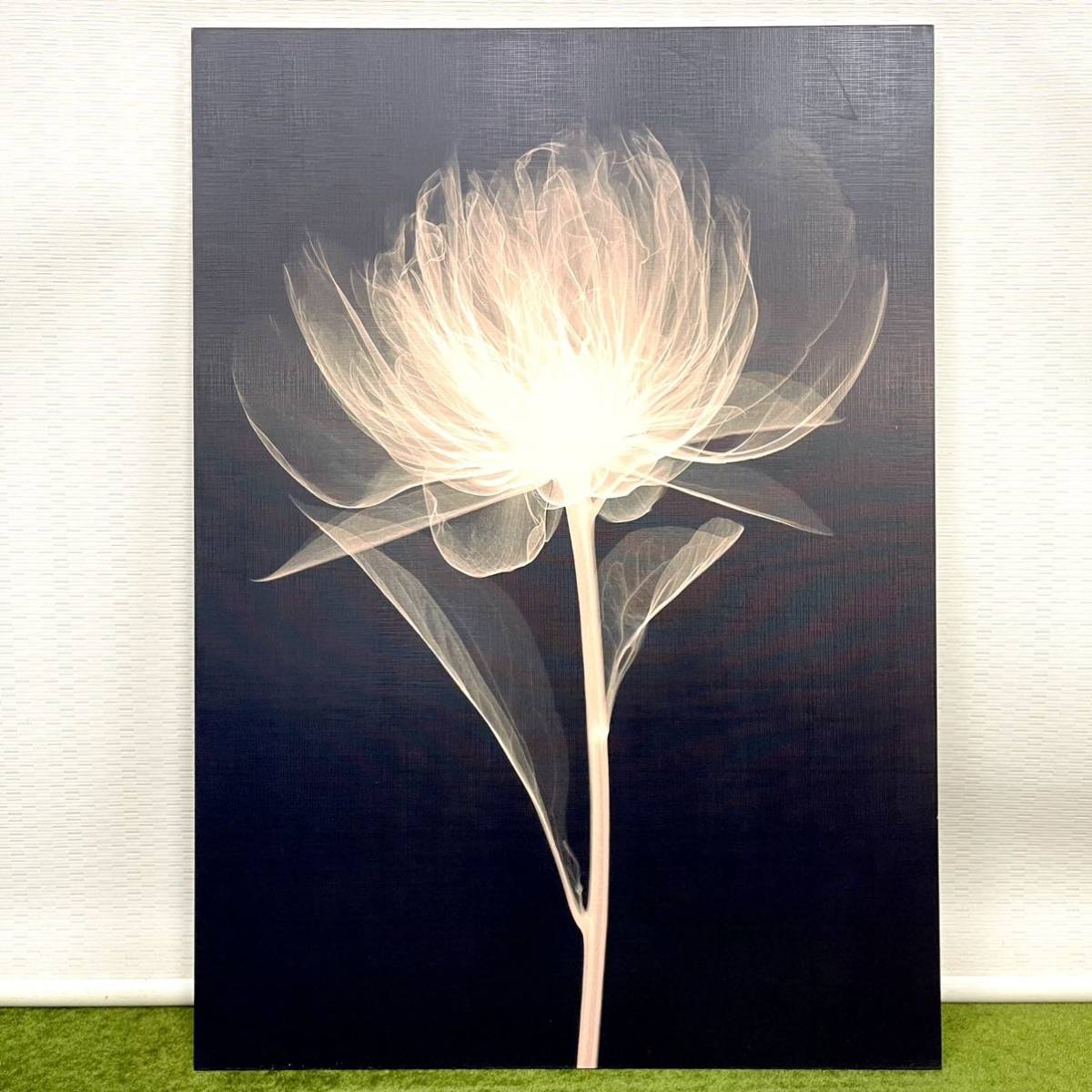 レントゲンアート 絵画　アートパネル　花　花びら　パネル レントゲン アート レントゲンアート 絵画 アートパネル 花 花びら
