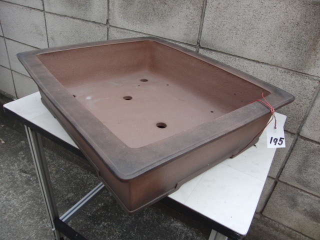 ♯195 鉢 盆器 盆栽 植木 松柏 皐月 真柏 楓 鉢 盆器 植木