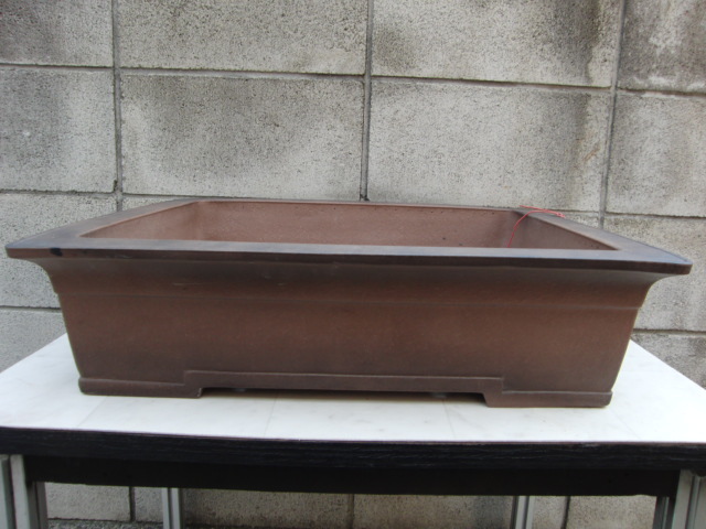 ♯195 鉢 盆器 盆栽 植木 松柏 皐月 真柏 楓 鉢 盆器 植木