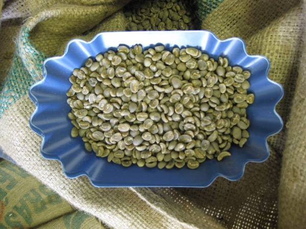 コーヒー生豆 2kg スタンダード グアテマラSHBと選べる1kg