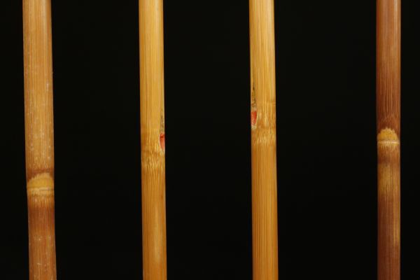 LIG】時代 竹矢 全46点 木造矢立 矢筈 弓道具 時代武具 旧家蔵出品