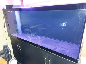 大型 水槽のYahoo!オークション(旧ヤフオク!)の相場・価格を見る