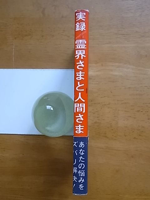 実録　霊界さまと人間さま　あなたの知らない世界へのご招待 実録 霊界さまと人間さま－あなたの知らない世界へのご招待 神の言葉