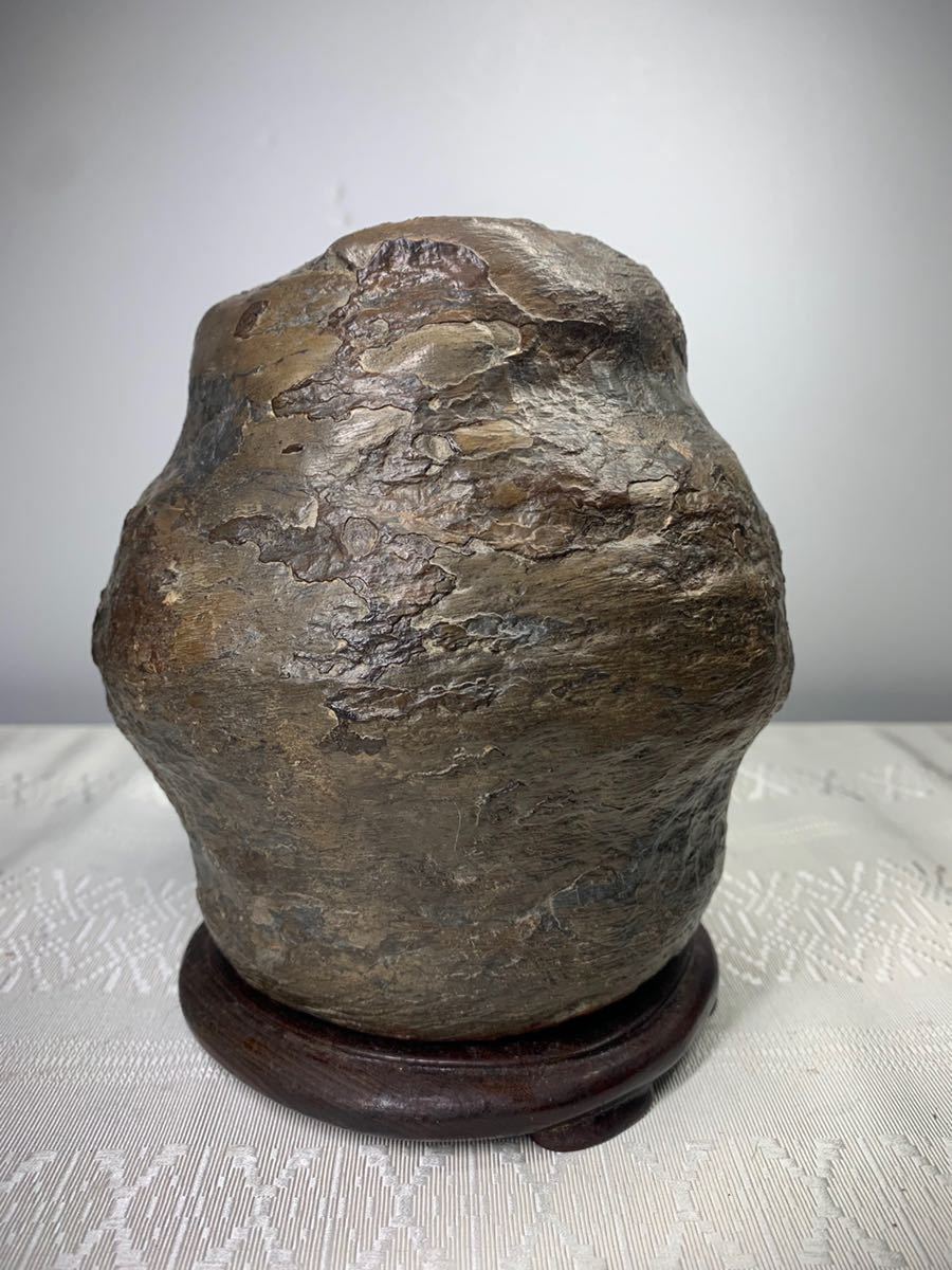 信濃美術石博物館】水石 盆栽 鉄丸石『茶壺』 横14.5×高13.5×奥行13(cm