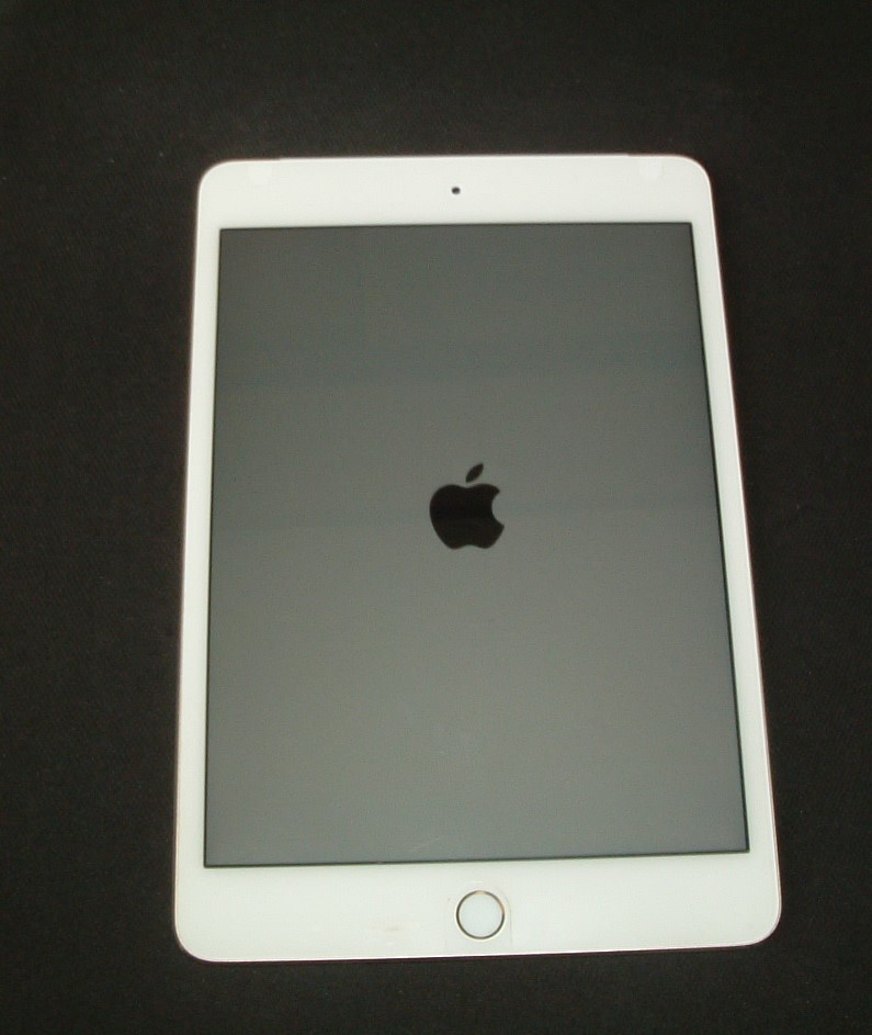 iPad mini Apple mini4 Wi-Fi 128GB 0 美品 ゴールド Wi-Fiモデル 64GB 
