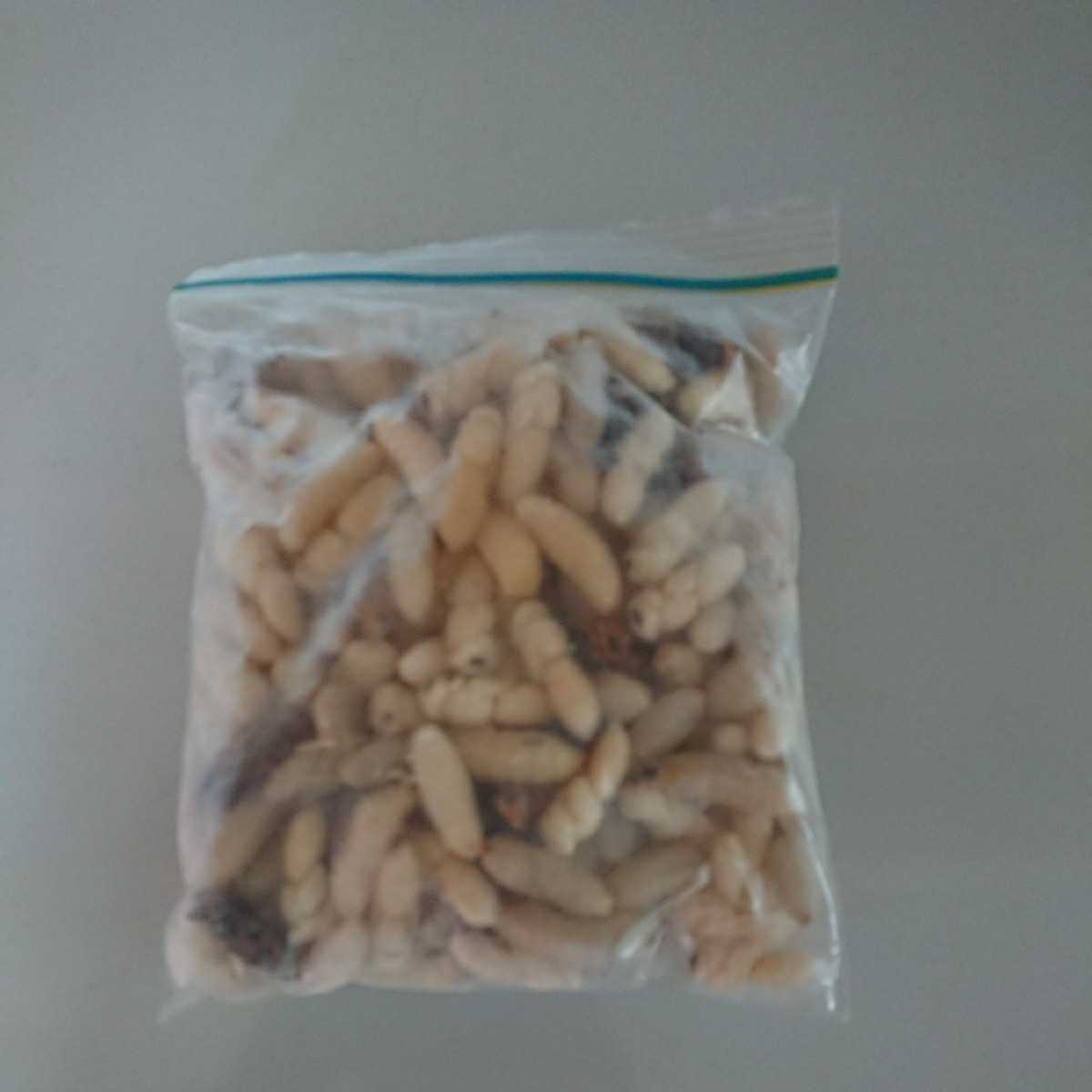 9&frasl;25発送 No.23昆虫食オオスズメバチ蜂の子