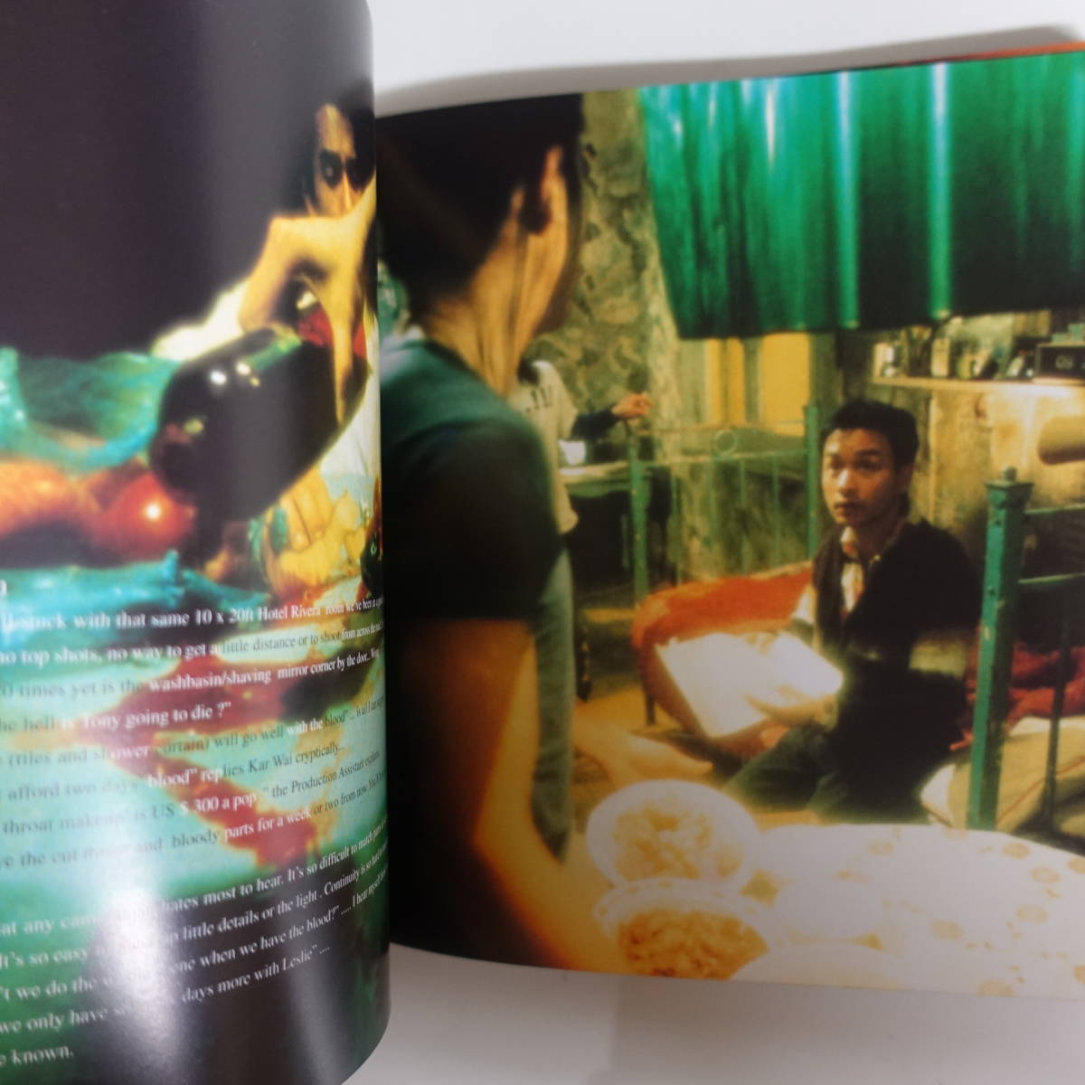 2773ブエノスアイレス写真集 レスリー・チャン トニー・レオン 春光乍