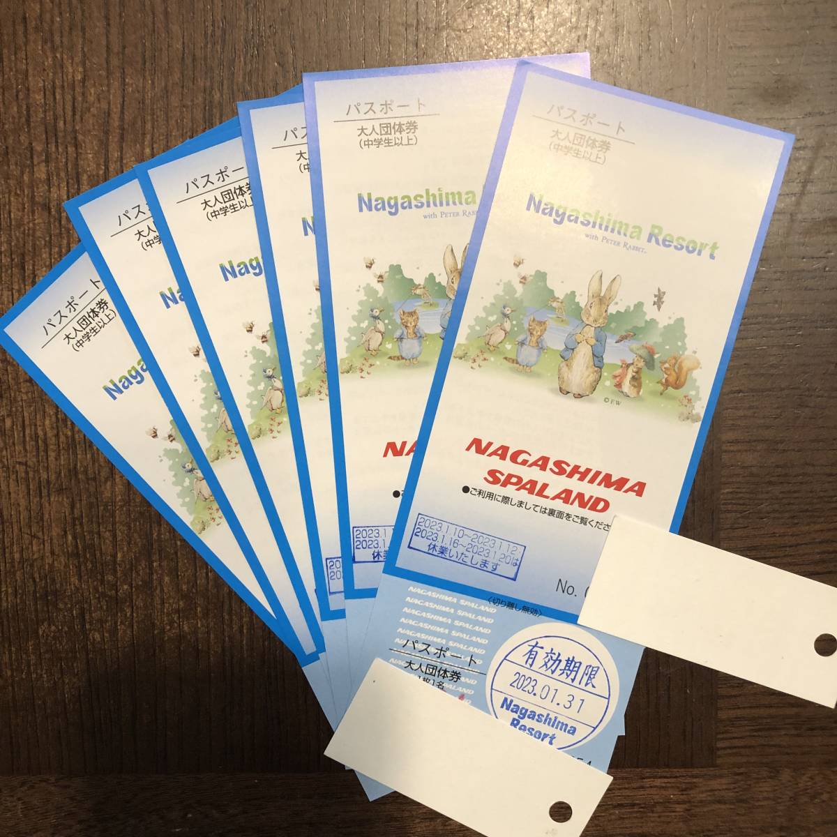 ナガシマスパーランド パスポート 送料無料 大人 4枚 ※2と4に分割しま