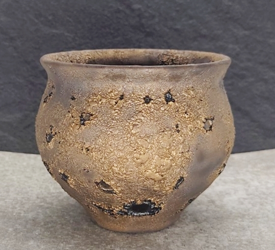 中川智治 新品 中川智治 tomoharu nakagawa CRATER gold pot 鉢 ポット BOTANIZE