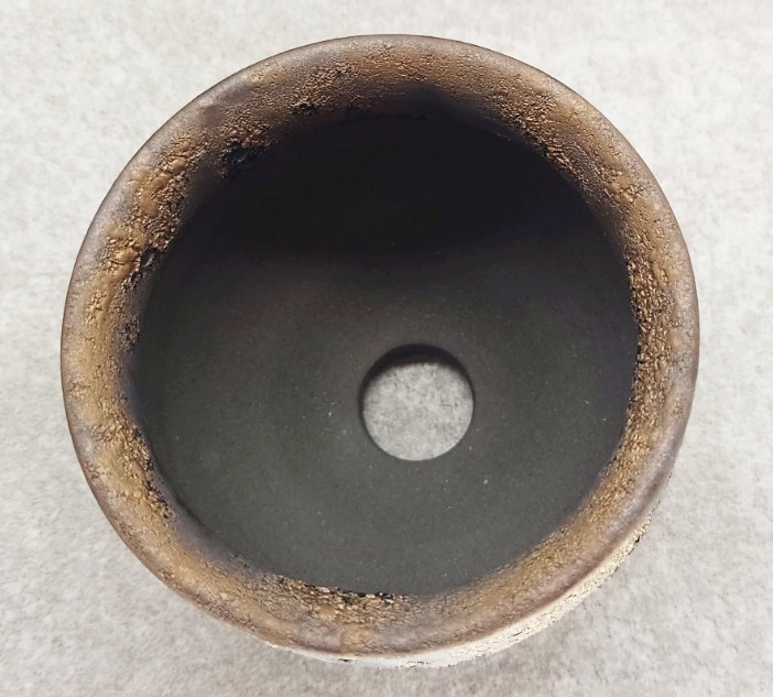 新品 中川智治 tomoharu nakagawa CRATER gold pot 鉢 ポット BOTANIZE