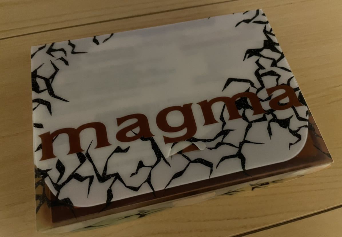 ポケモンカード マグマ団ハーフデッキW マグマ団のグラードン 構築済み