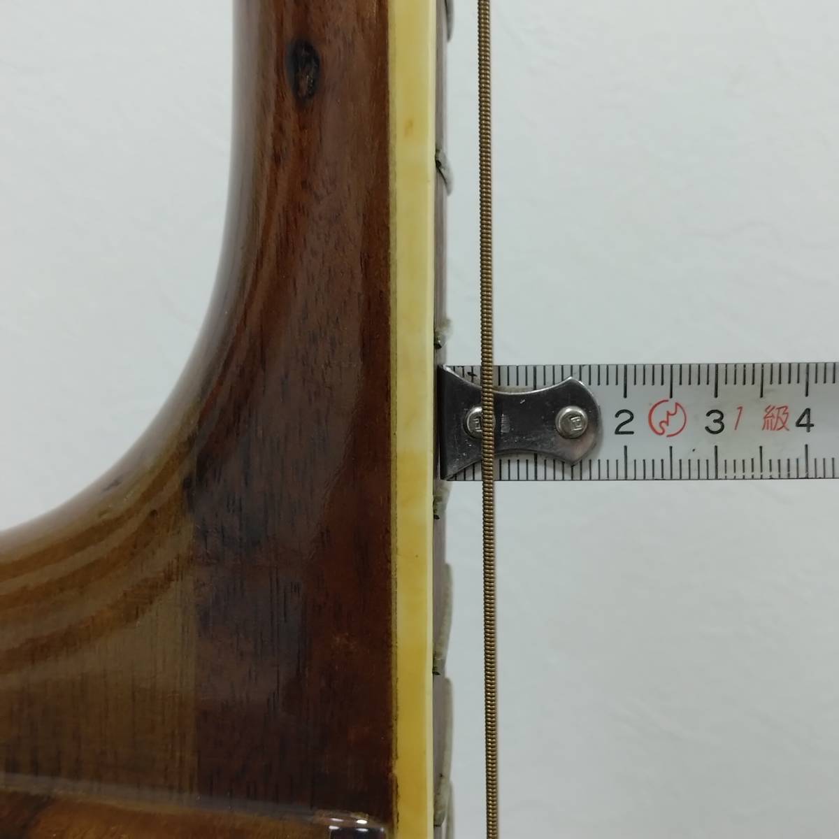 g1067602939.9