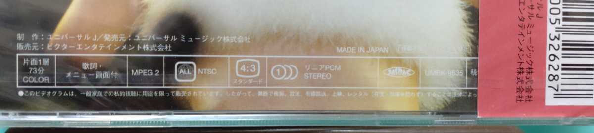 松田聖子 DVD 初回限定盤 未開封 新品 ライブ バニティフェア 96 Live 