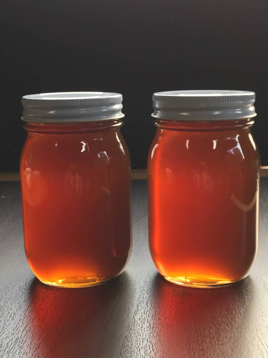 日本蜜蜂蜂蜜 純粋100％ 600g×2本 日本ミツバチ純粋100%蜂蜜 600g