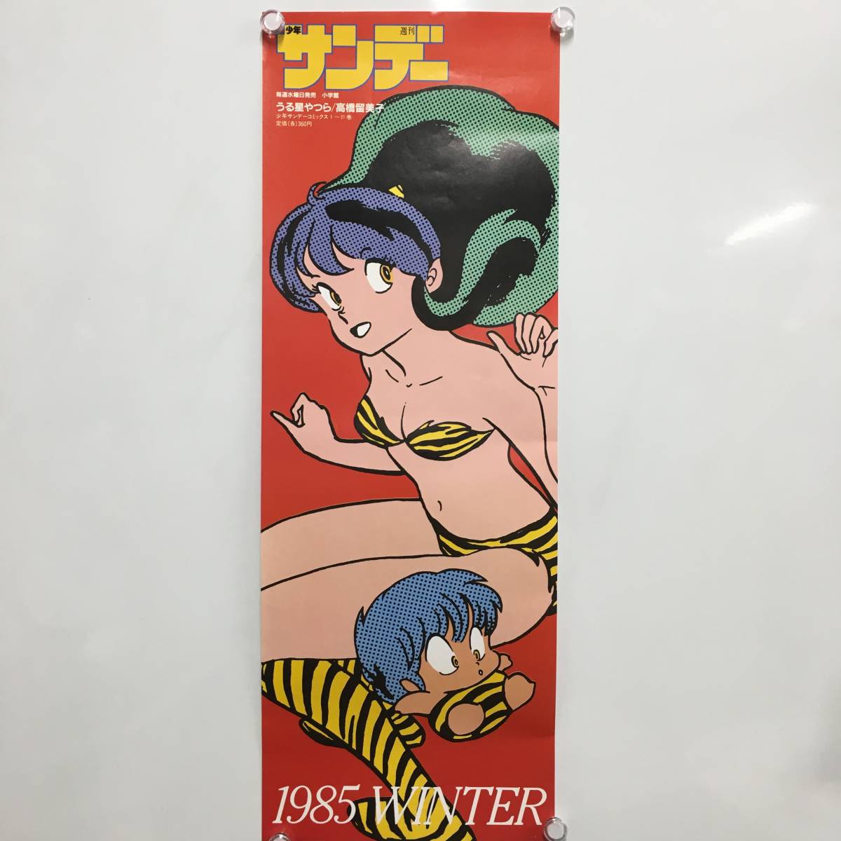☆C10403【コレクター放出品・美品】うる星やつら/短冊/ポスター/少年