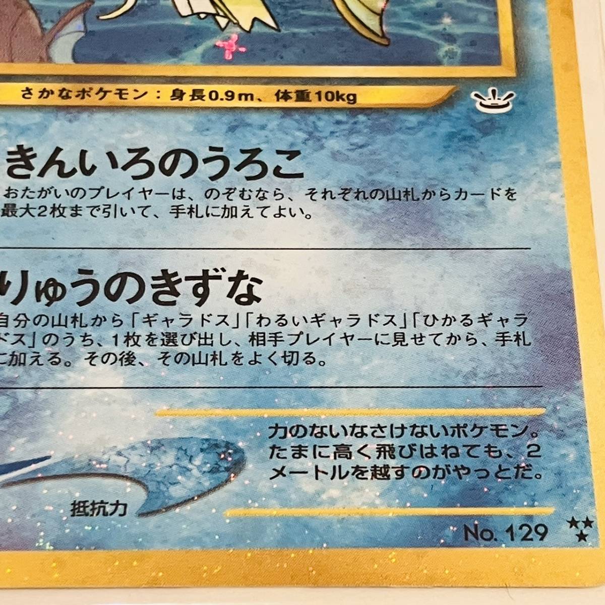 ひかるギャラドス ポケモンカード 1996年 ARS10鑑定済〕ひかる