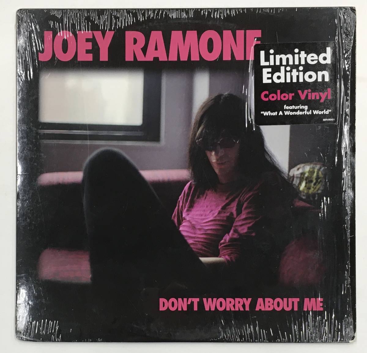 JOEY RAMONE | Worry About LP - Don