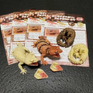 アルマジロトカゲ ガチャのヤフオク の相場 価格を見る ヤフオク のアルマジロトカゲ ガチャのオークション売買情報は6件が掲載されています