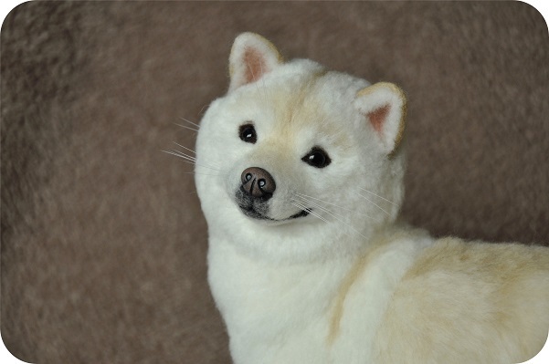ikona 羊毛フェルト 白柴 柴犬 ハンドメイドの入札履歴 - 入札者の順位