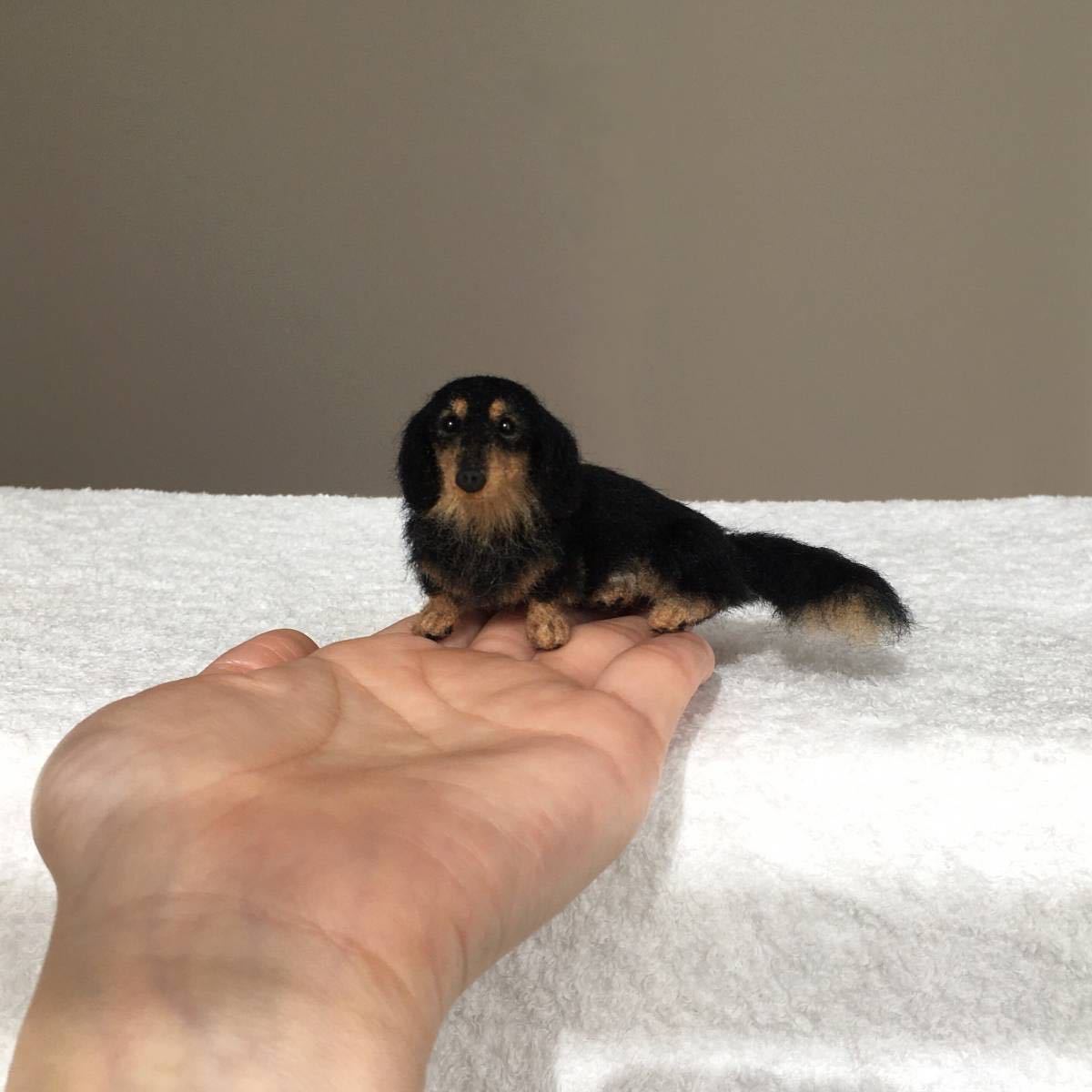 ぴのきち☆5.3cmのミニチュアダックスちゃん☆羊毛フェルト ダックス