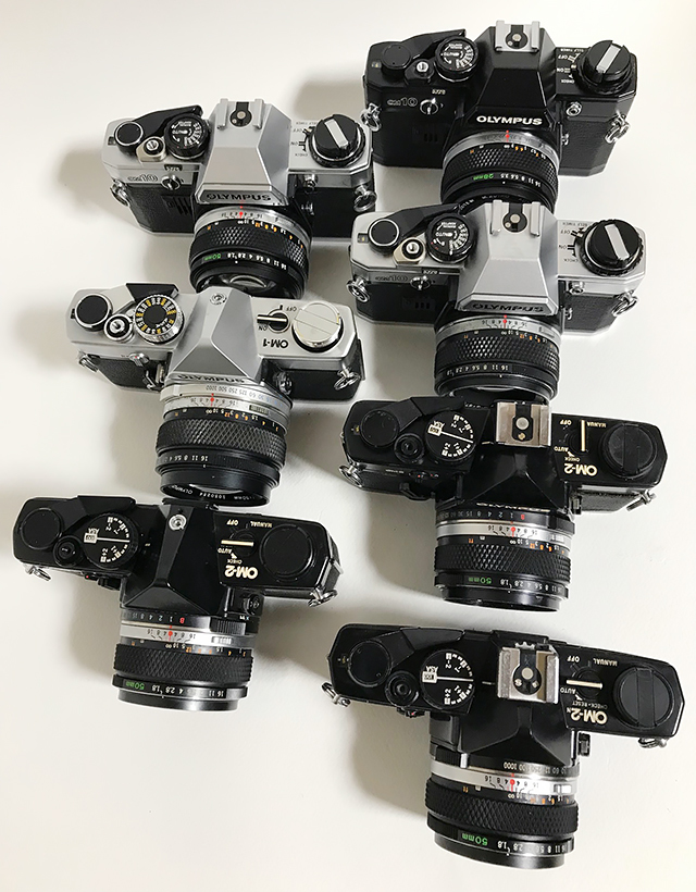 数量限定，お得 送料無料/現状販売品/OLYMPUS:オリンパス/フィルム