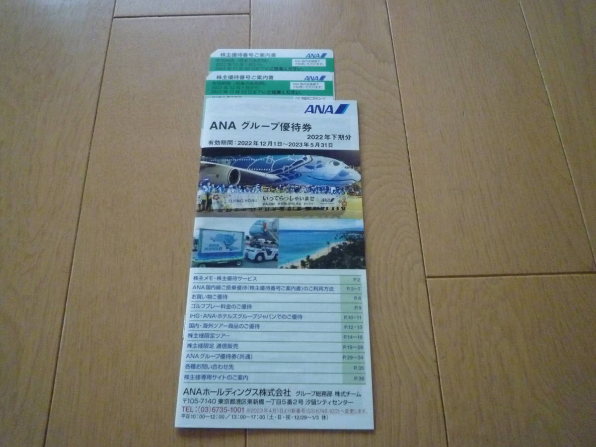 乗車券/交通券 ANA株主優待券2枚とANAグループ優待割引券