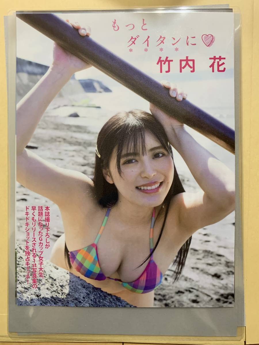 ラミネート加工】竹内花 A4雑誌切り抜き 6ページ【グラビア