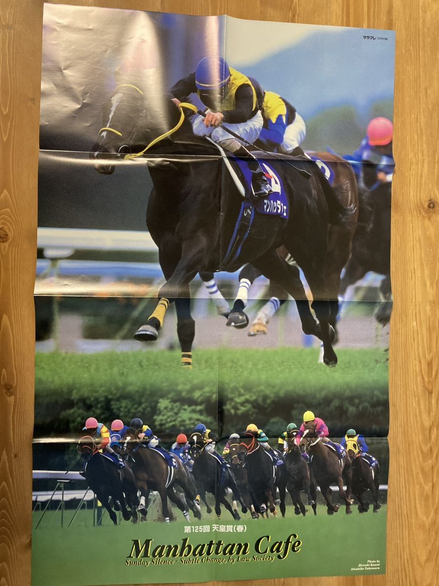 競馬 サラブレ マンハッタンカフェ ポスター(競馬)｜売買された 