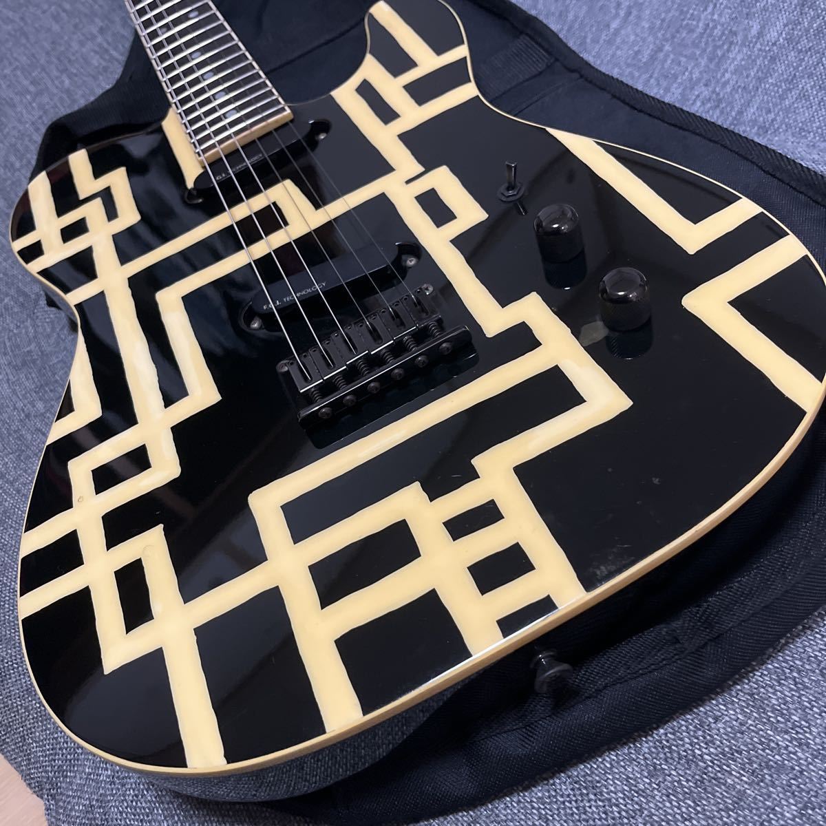 布袋モデルFERNANDES TE-95HTレザーケースストラップ付き