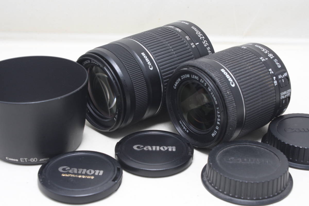 ☆ダブルズーム☆ キヤノン EF-S 18-55mm STM 55-250mm IS II IS STM