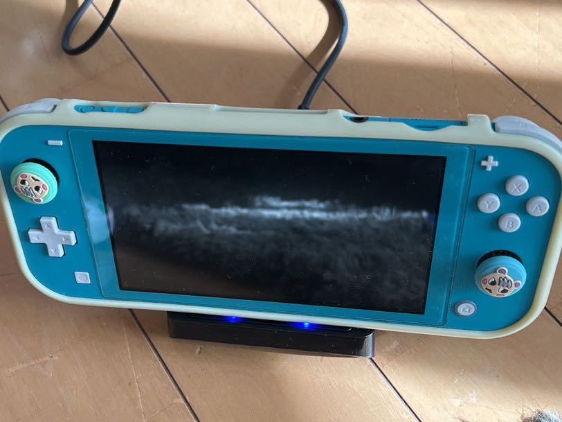 あつまれどうぶつの森 ゲームソフト、マルチポーチ 、攻略本、その他セット