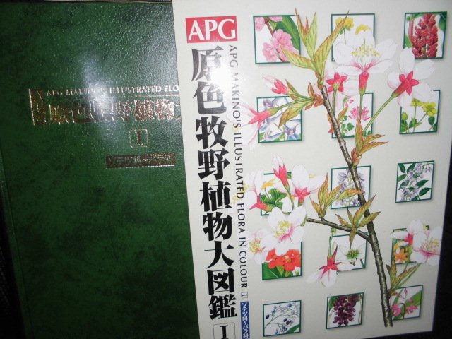 □APG 原色牧野植物大図鑑 Ⅰ ソテツ～バラ科□2012(野草、植物)｜売買 