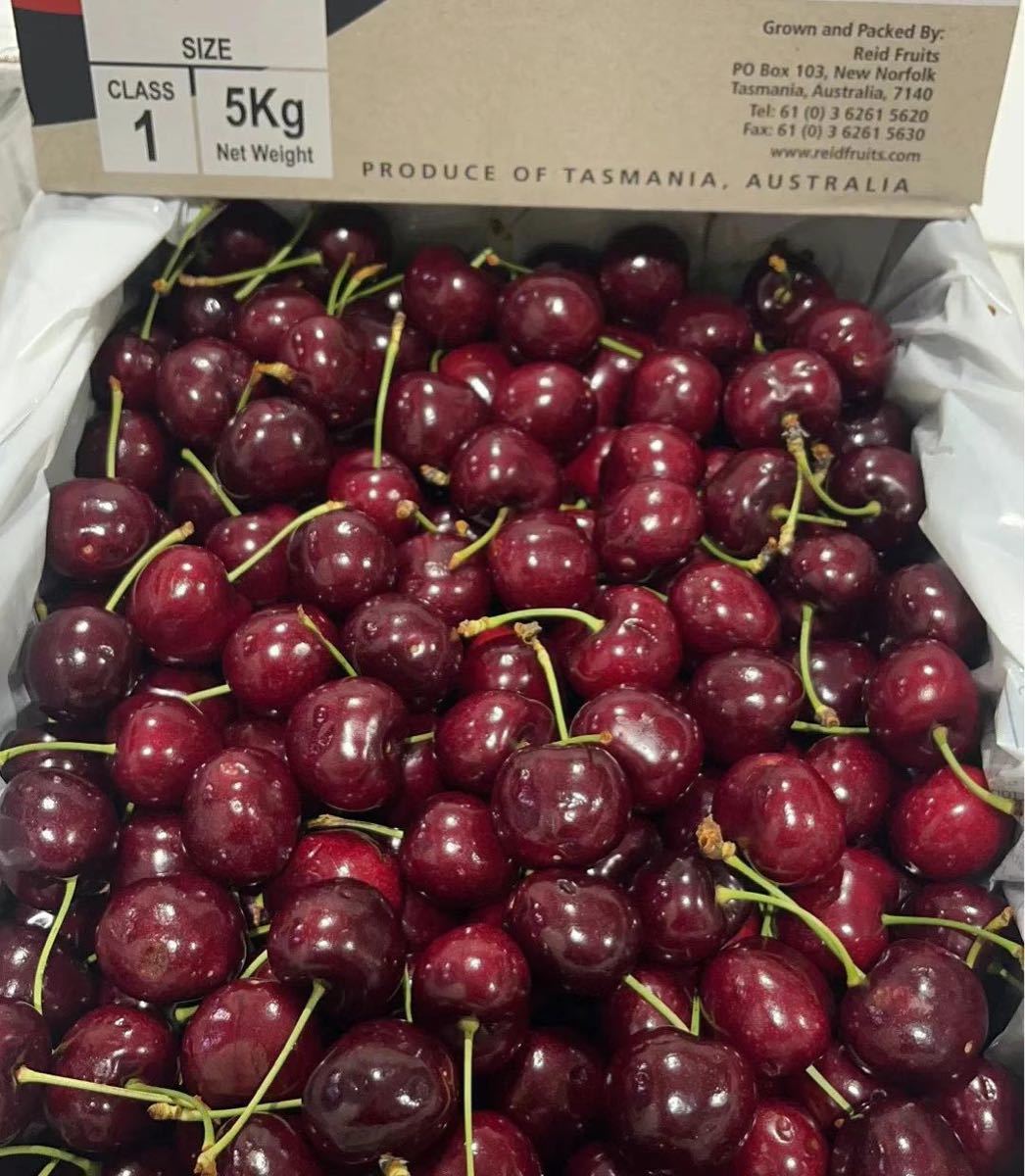 チリ産大粒4Jチェリー 2.5kg 空輸＊新品 - メルカリ チリー産 空輸