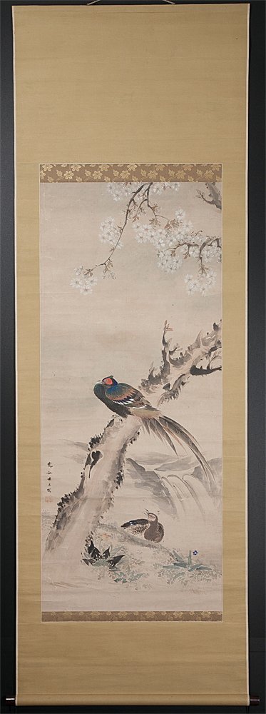 五】荒木寛畝 『桜下雉図』 紙本 彩色 掛軸(花鳥、鳥獣)｜売買された
