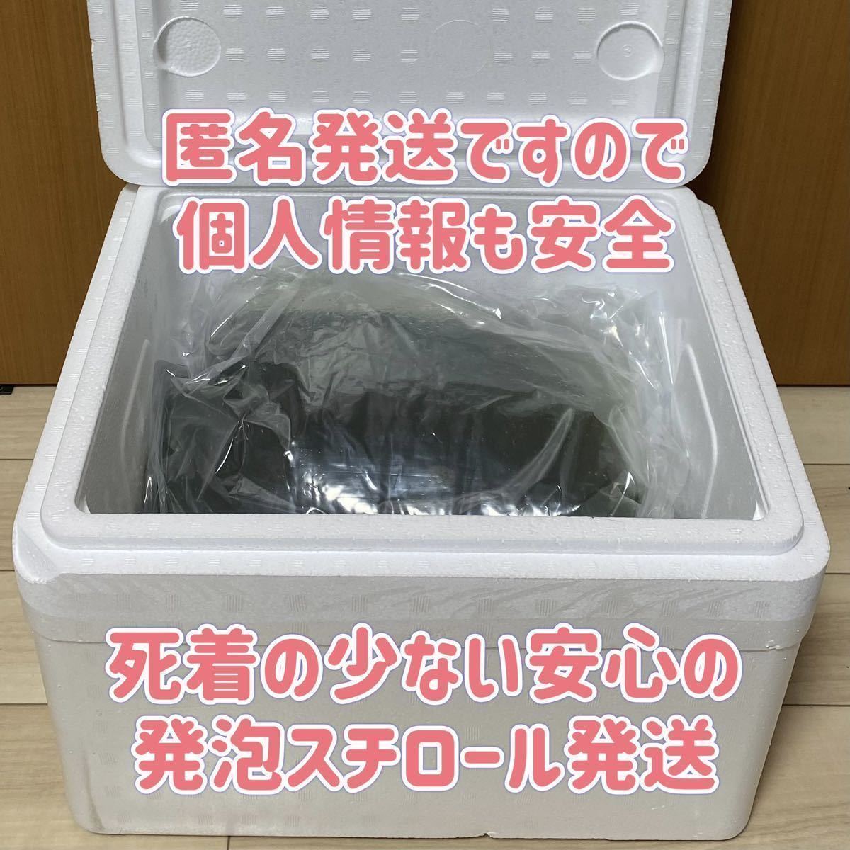 | (約5g) 大 約15000匹 メダカフレンドタマミジンコ タマミジンコ 2026年最新Yahoo!オークション タマミジンコの中古品 -ミジンコ みじんこの卵 稚魚 カミハタ １カプセル入り ミジンコ 約２００匹 タマミジンコの販売と購入した後に～タマミジンコの繁殖や餌