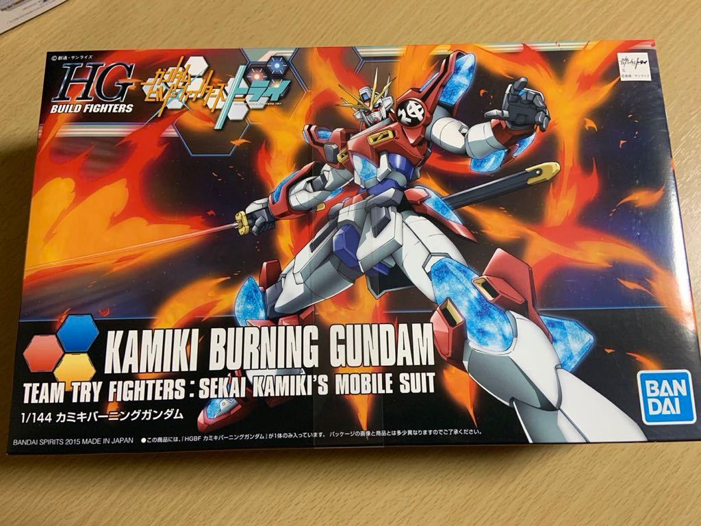 ガンプラ　5体セット　HG 1／144 1&frasl;144 HG ガンプラ