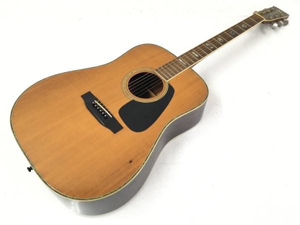 MORRIS モーリス TF-801 アコースティック ギター ケース 付 T7227965
