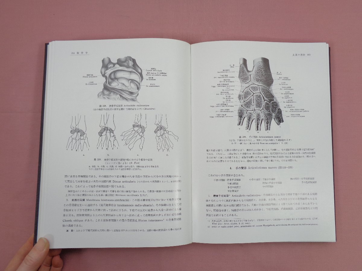 分担 解剖学 全3巻セット 総説・骨学・靭帯学・筋学/脈管