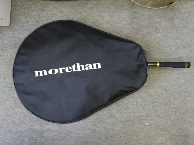 セール，お買い得 daiwa ダイワ モアザン ランディングネット ウェーディングネット(アクセサリー)｜売買されたオークション情報、yahooの商品情報をアーカイブ公開 - オークファン アクセサリー