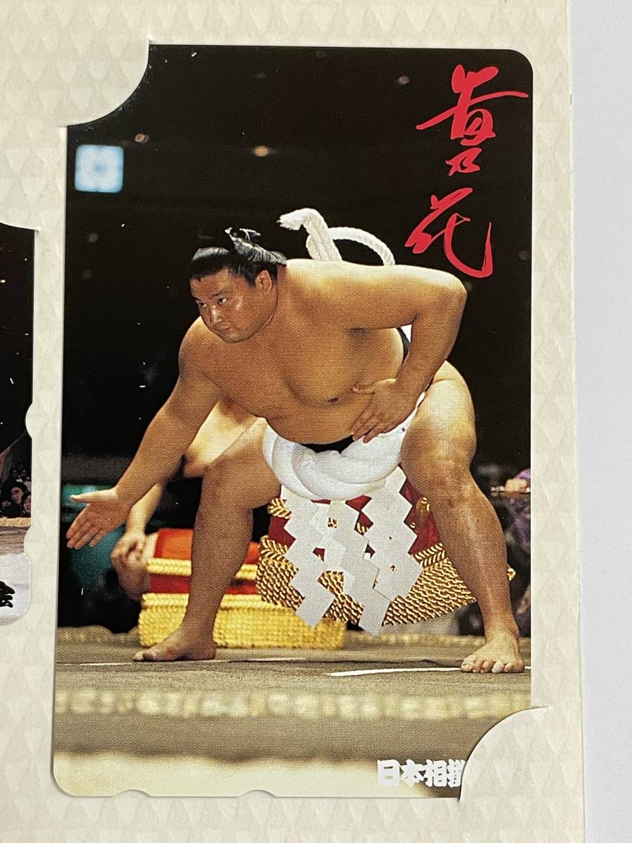 日本相撲協会公式テレカ】「貴乃花・曙」未使用テレフォンカード3枚  