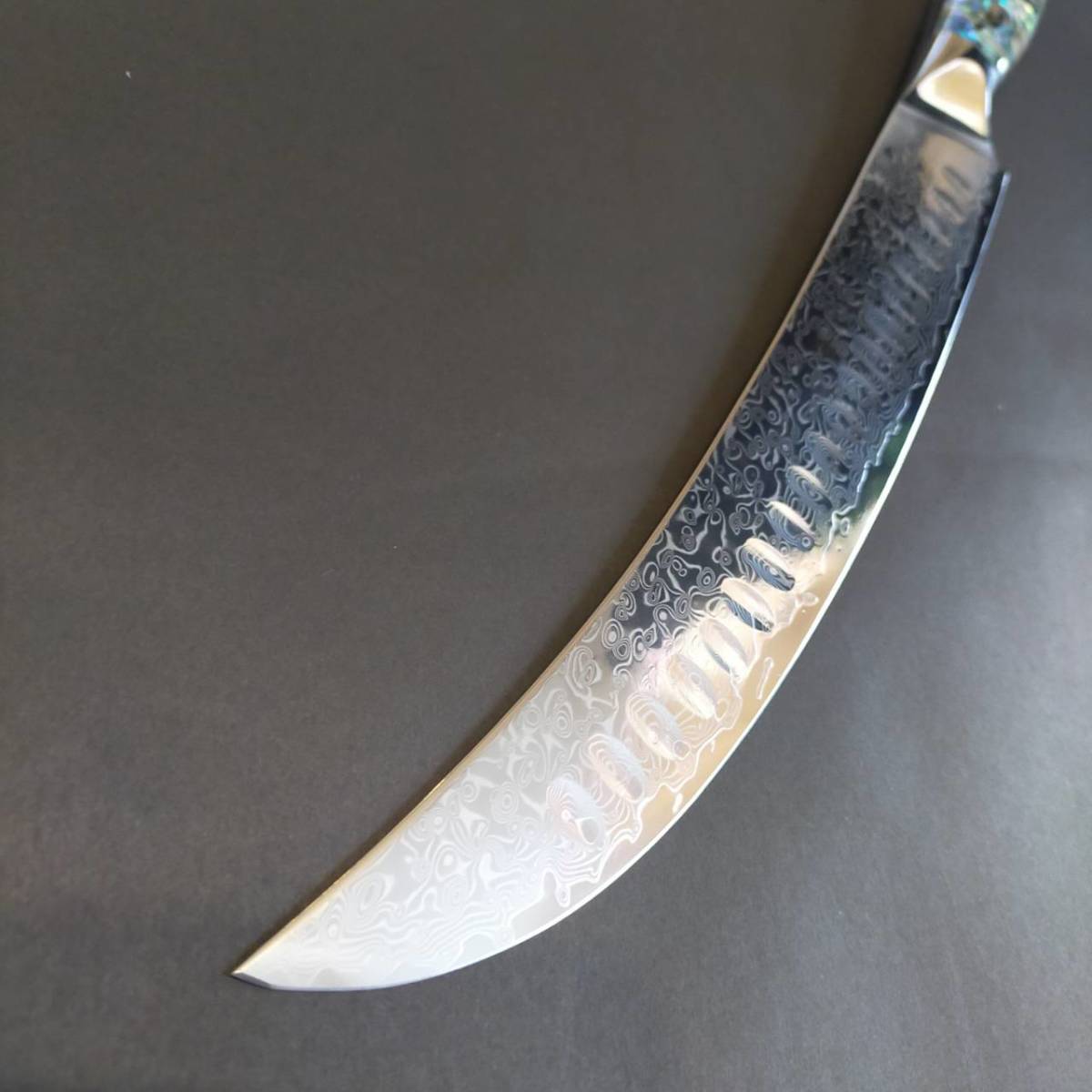 新品】超反りV金10号67層ダマスカス筋引き包丁250mm 螺鈿アート柄 工芸