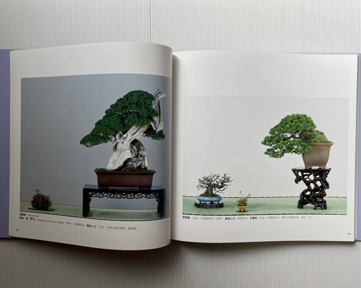 国風盆栽展 Bonsai - Kokufu BONSAIちえ 99th Exhibition | 国風盆栽展