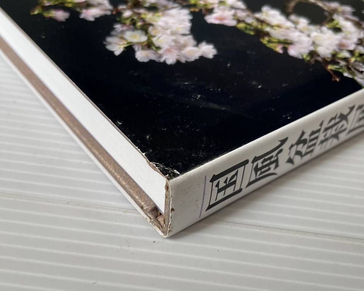 国風盆栽展 Bonsai - Kokufu BONSAIちえ 99th Exhibition | 国風盆栽展第