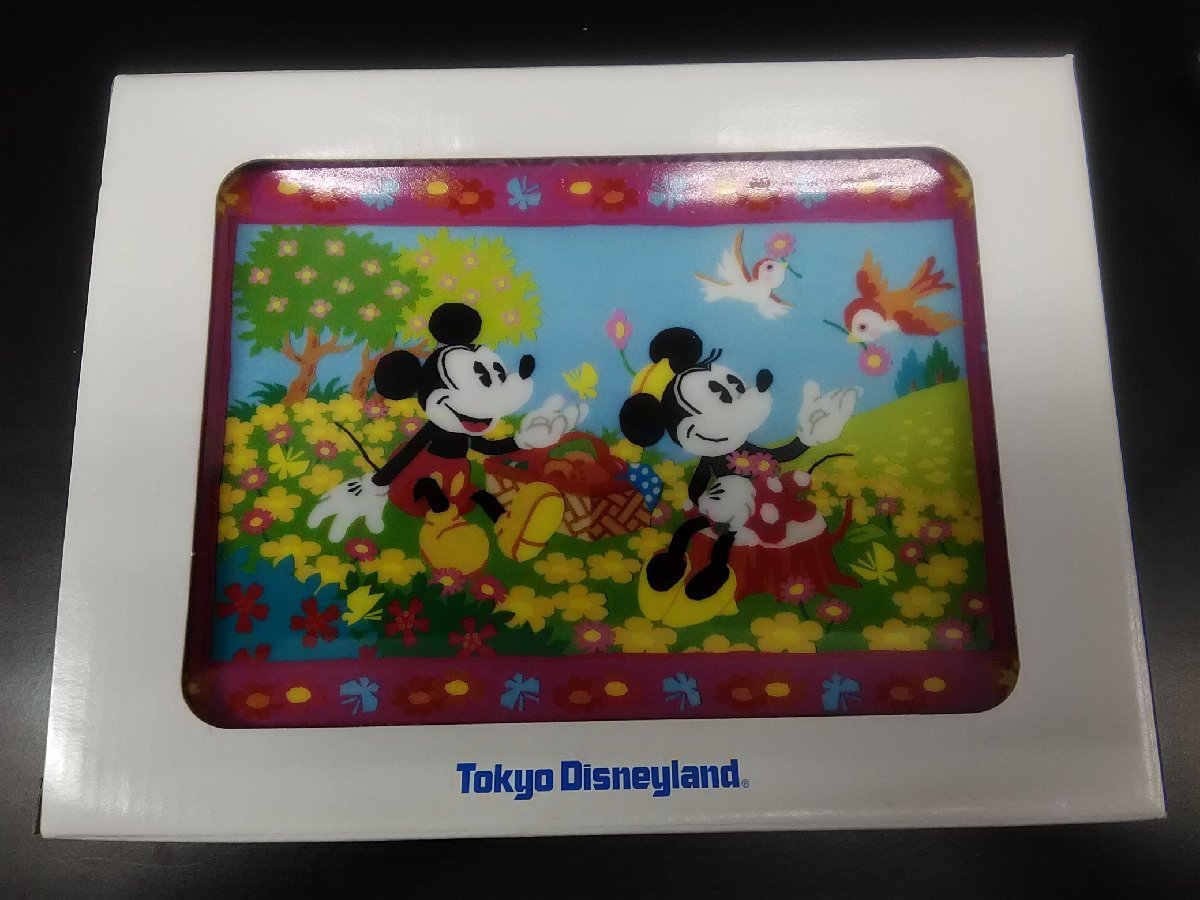 ディズニー 絵皿 プレート 4点 D-pop MAGIC WDW20周年 Magical Years