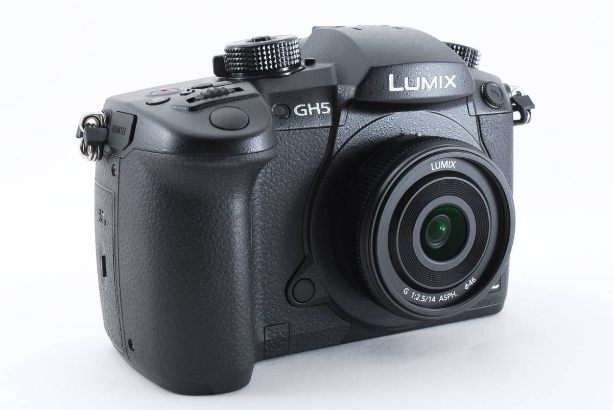 美品 PANASONIC LUMIX RD-SPM049 ボディ(DC-GH5) 【公式通販】 美品 PANASONIC LUMIX RD-SPM049 ボディ(DC-GH5) 【公式通販】