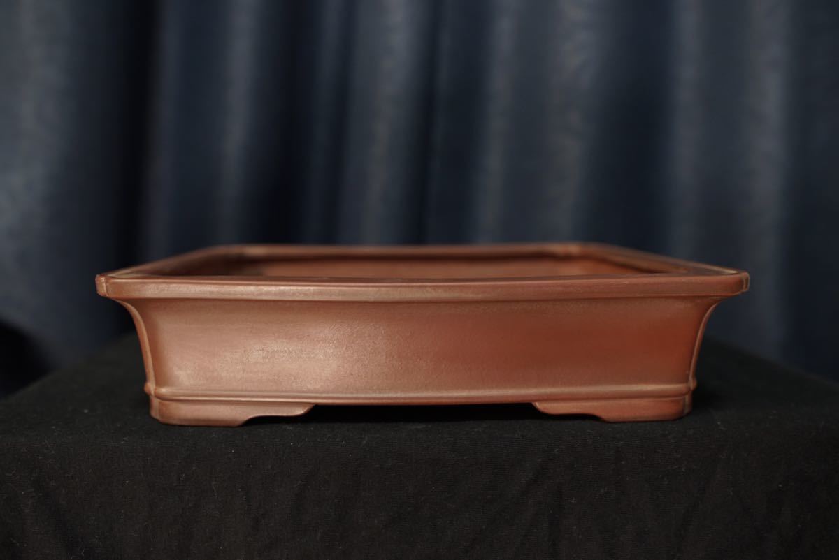 盆栽鉢 芸 美 美芸 お得 美芸（常滑 鉢の ▽美芸造［平田美芸 盆栽 