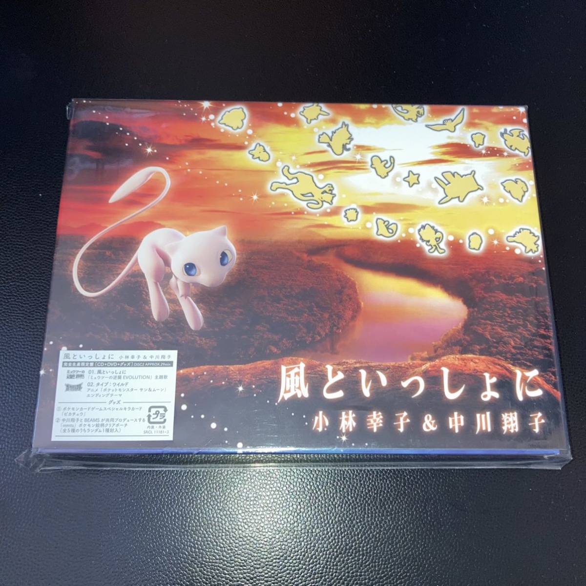 05-07 同梱可 ポケモンカード 風といっしょに プロモ ピカチュウ入 未