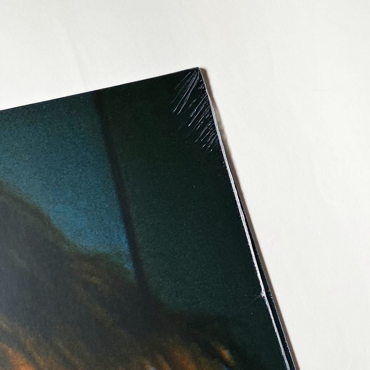 直筆サイン入り Yellow限定盤レコード Wet Leg 『Wet Leg』ウェット