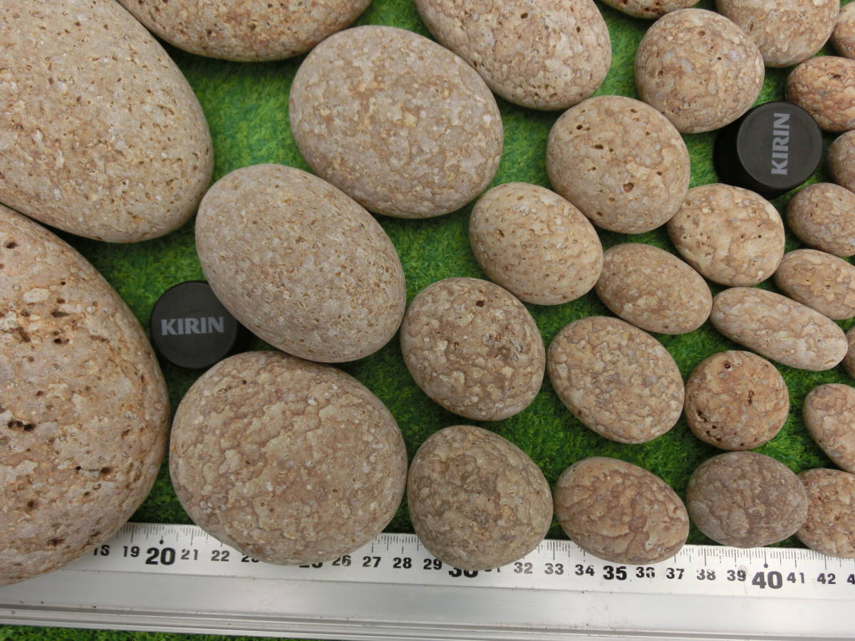 姫川薬石 5，580g 虎石 自然放射線 トロン トロン温泉 遠赤外線 糸魚川 